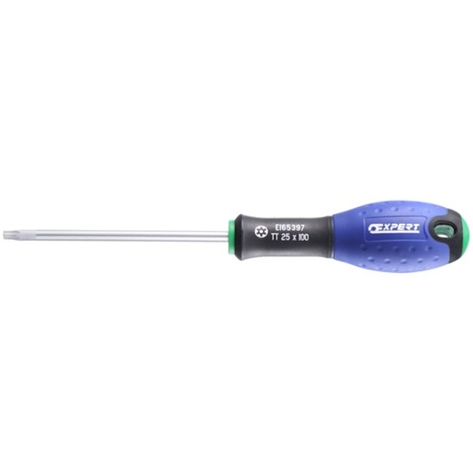 EXPERT by FACOM® Resistorx® screwdriver TT20x100 mm