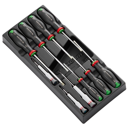 10 PROTWIST® RESISTORX® Screwdriver in Thermo-Formed Module, Small 1/3