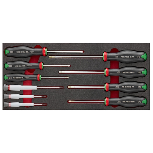 10 PROTWIST® RESISTORX® Screwdriver in Foam Module, Small 1/3"