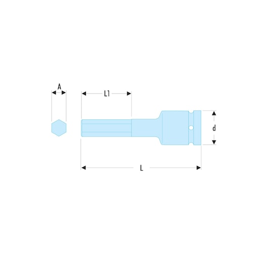 1/2 in. Long Hexagonal Bit Socket