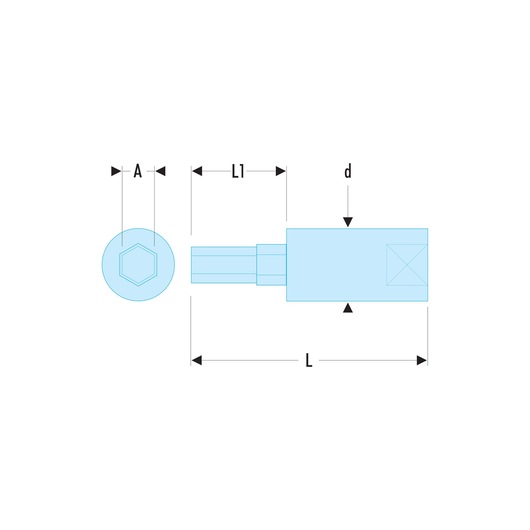 1/4 in. Hexagonal Bit Socket, 10 mm